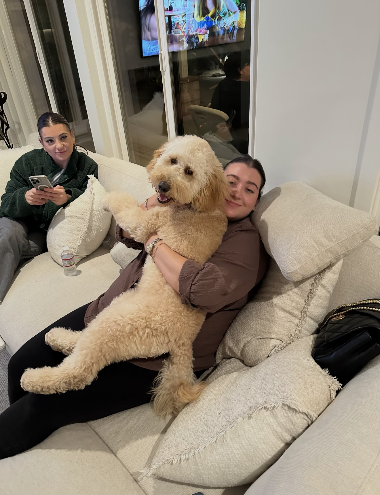 A quiet moment at home with a Kid's Best Doodle Goldendoodle.