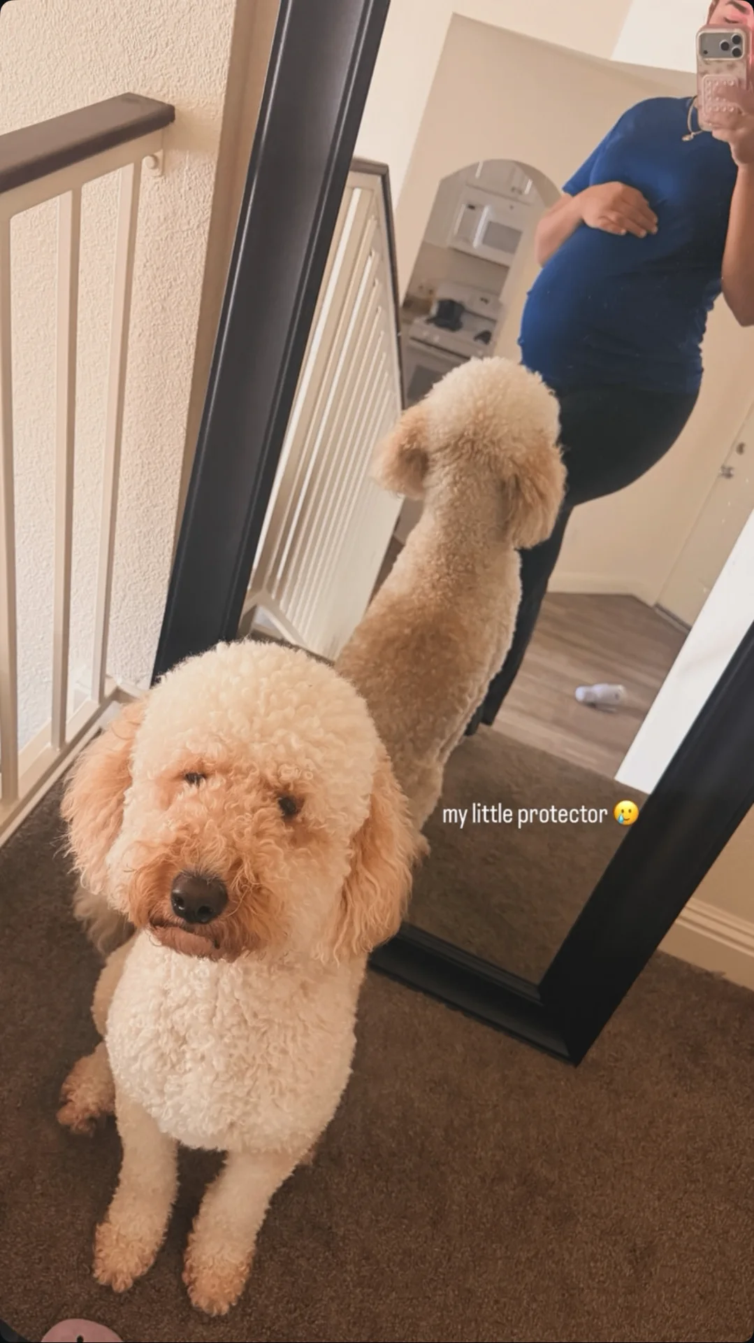An expectant mother at home with two attentive Goldendoodles beside her