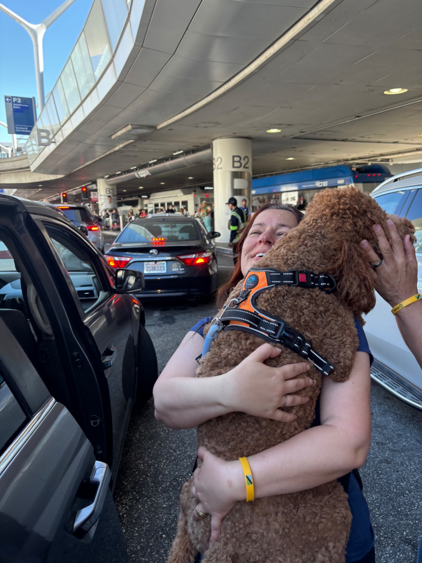 A Kid's Best Doodle family hugging their red Goldendoodle puppy at LAX after a flight nanny homecoming