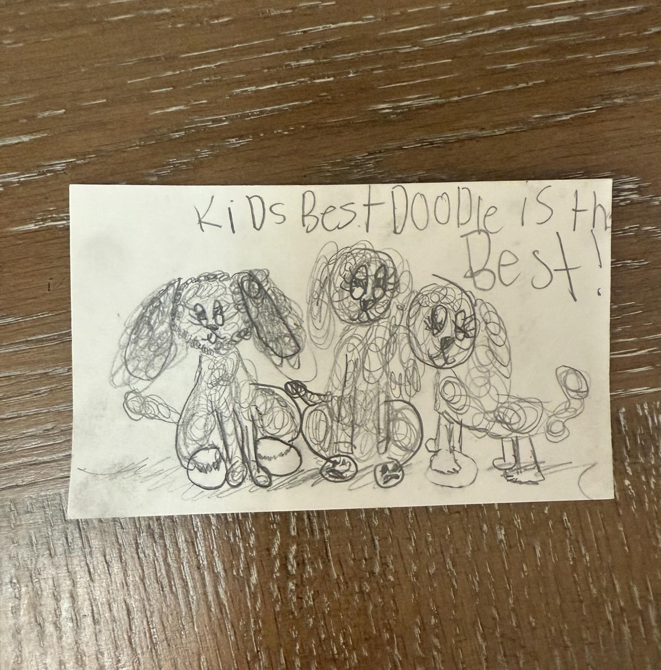 A child's hand-drawn note reading Kid's Best Doodle is the Best, with three sketched Goldendoodle puppies