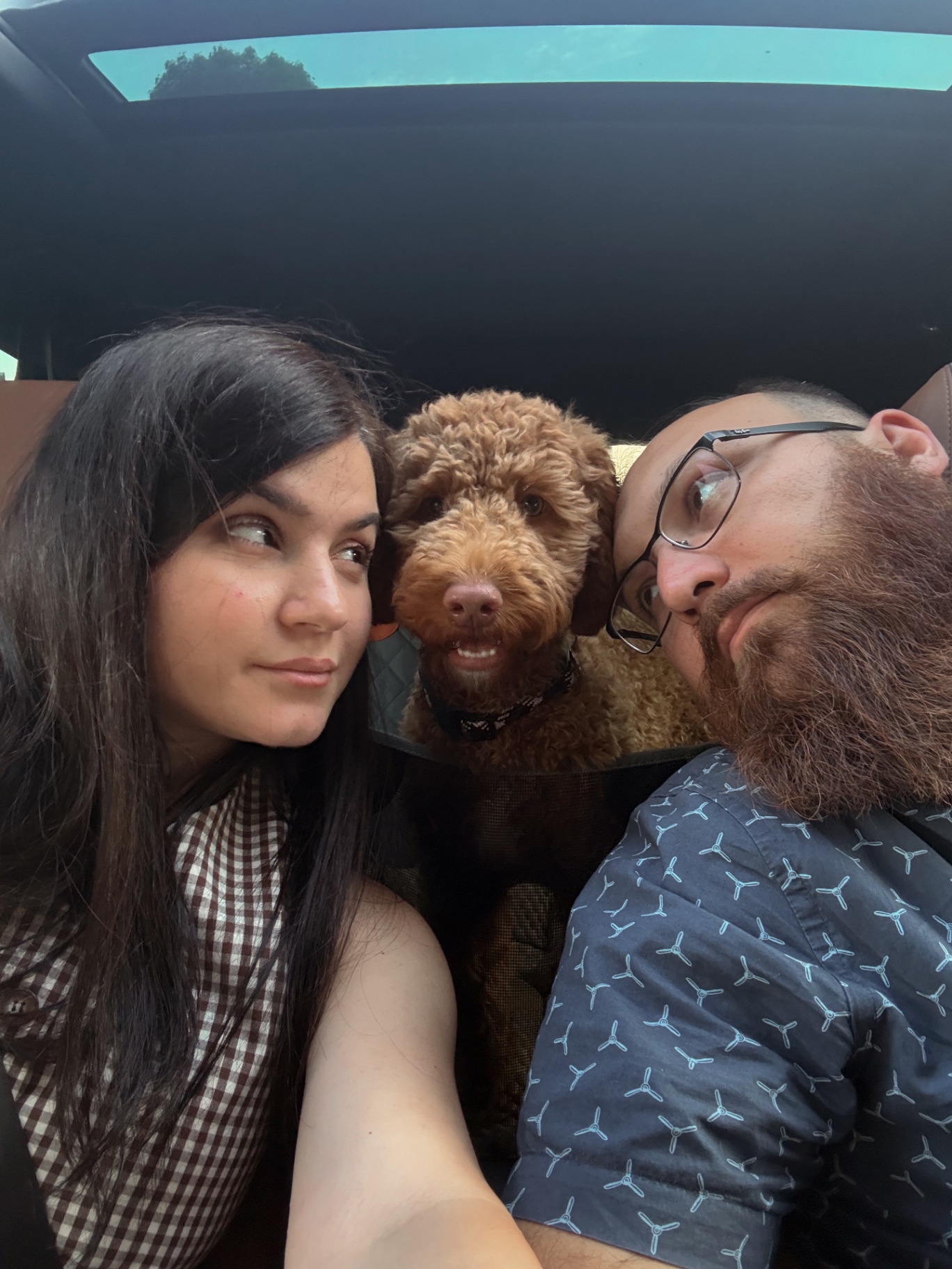 A Kid's Best Doodle couple riding home with their red mini Goldendoodle puppy after a virtual visit turned into homecoming