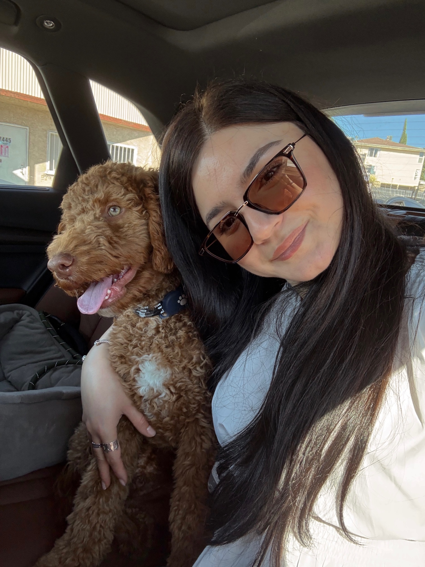 A Kid's Best Doodle owner and her red Goldendoodle riding home together after reserving through Good Dog