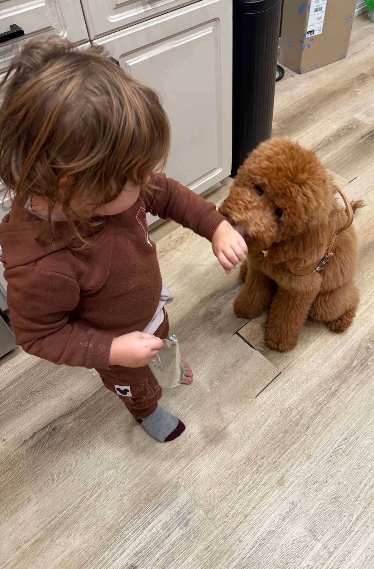 A toddler and a Kid's Best Doodle Goldendoodle puppy together in a family kitchen