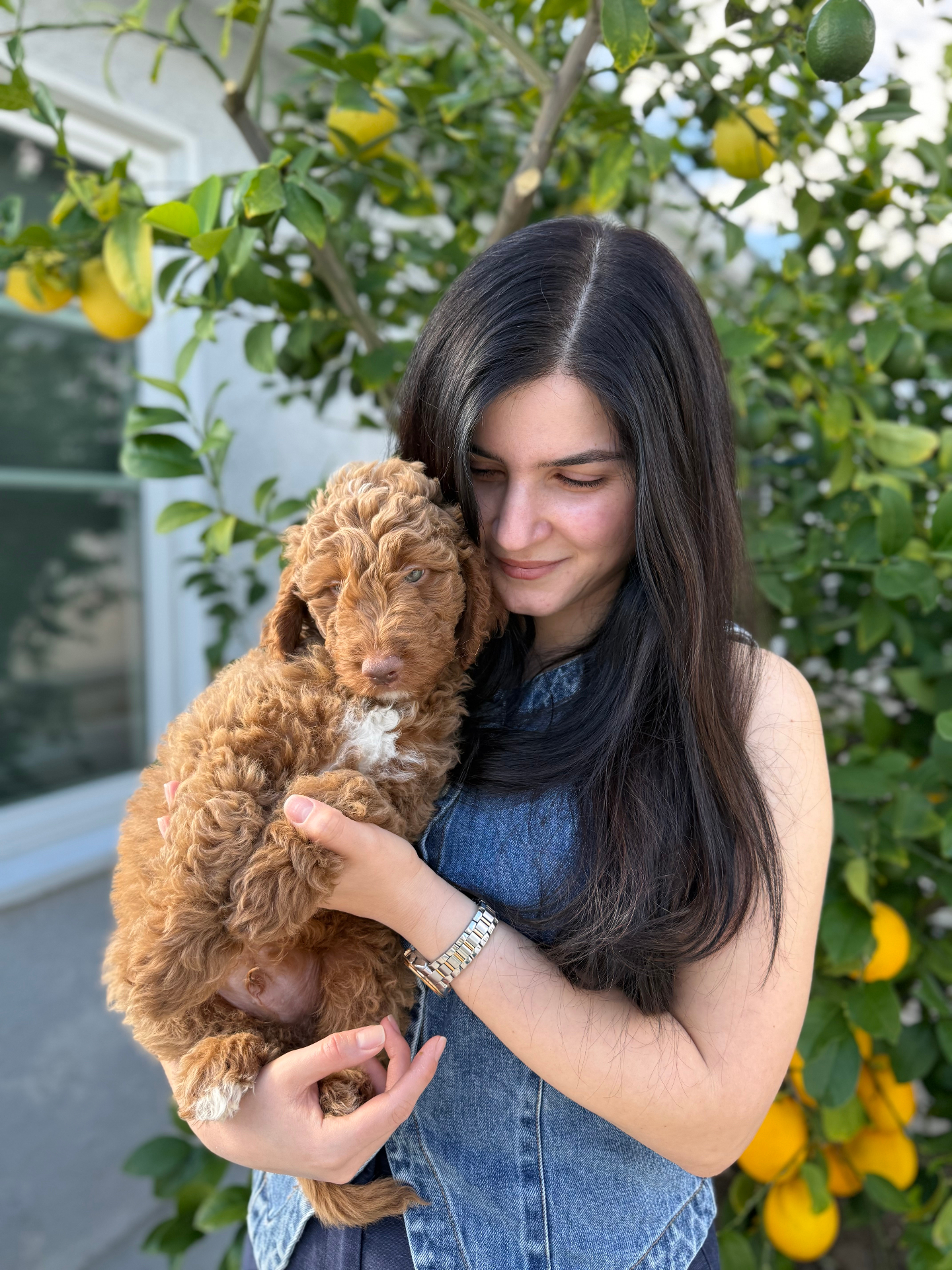 A Kid's Best Doodle puppy held close outdoors as part of our home-raised upbringing